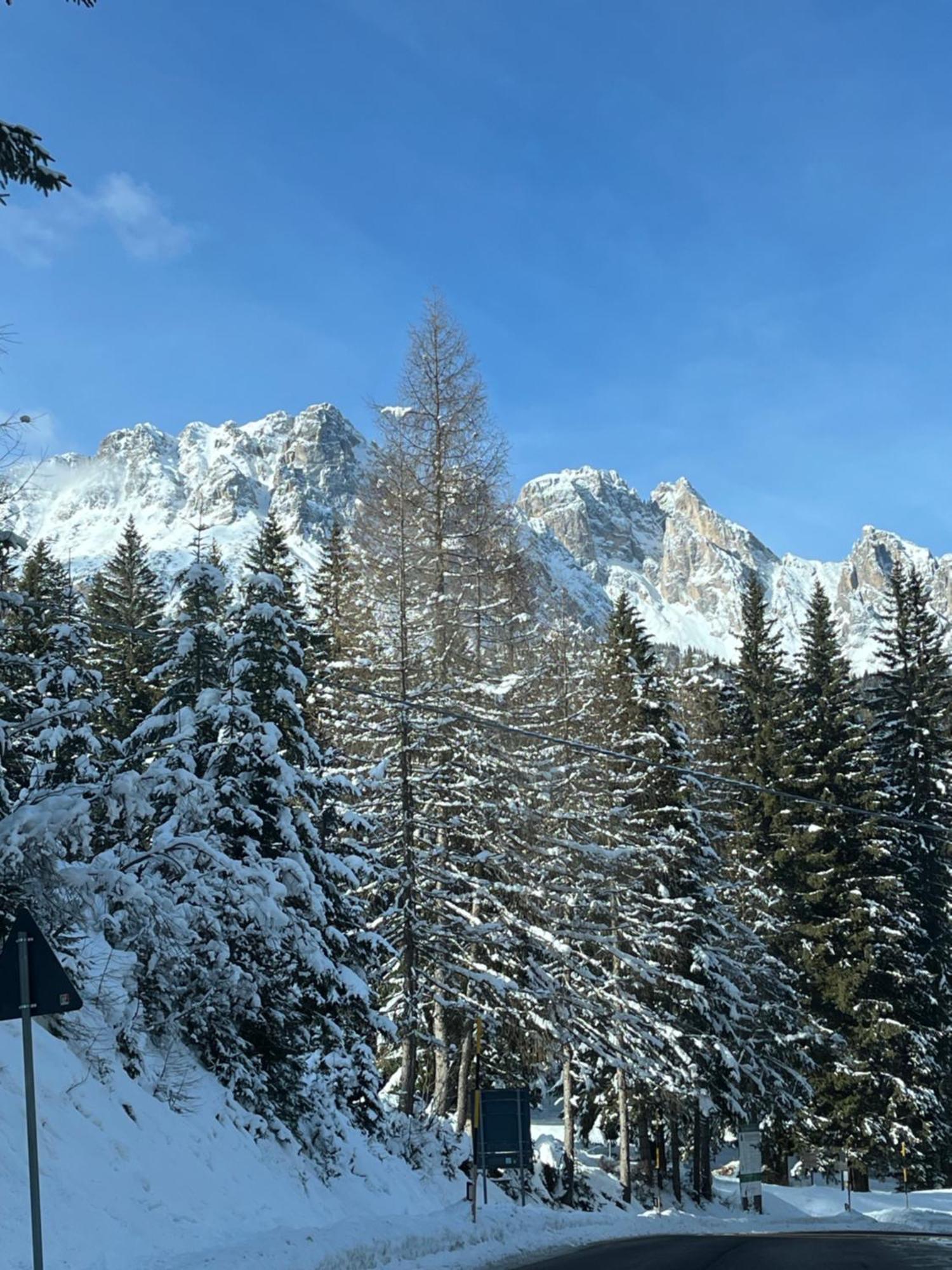 Chalet Delle Dolomiti Pieve di Cadore Dış mekan fotoğraf